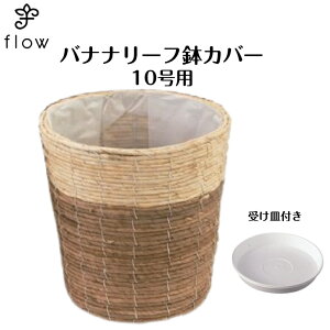 oii[tJo[10p@NO,1370y󂯎Mv[gEzϗtAEԁEJSEoXPbgECeA