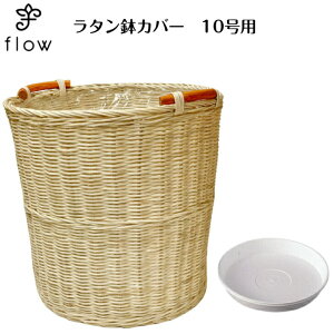 ^Jo[@10p@NO,006y󂯎Mv[gEzϗtAEԁEJSEoXPbg