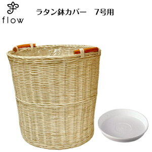 ^Jo[@7p@NO,004y󂯎Mv[gEzϗtAEԁEJSEoXPbg