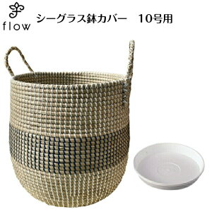 V[OXJo[10p@NO,43y󂯎Mv[gEzϗtAEԁEJSEoXPbgECeAE|iEAWAEoExgiEG