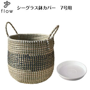 V[OXJo[7p@NO,42y󂯎Mv[gEzϗtAEԁEJSEoXPbgECeAE|iEAWAEoExgiEG