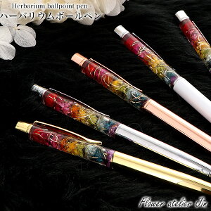 yizNX}X {[y v[g a  p n[oE{[y C{[ n[oE XIWi ̓ j  t[ {[y  