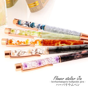 yiz{[y v[g NX}X av[g a p n[oE{[y XIWi vU[uht[ 嗝Ε t[ {[y n[oE 