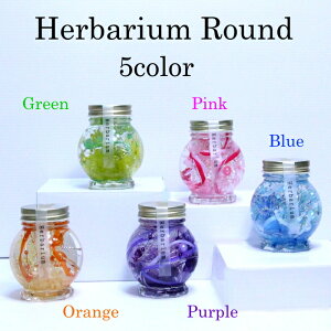 yNX}XMtgziȁyn[oE v[g vU[uht[ z^l̋Ԃo~̃t[AW^蕨ɂœK