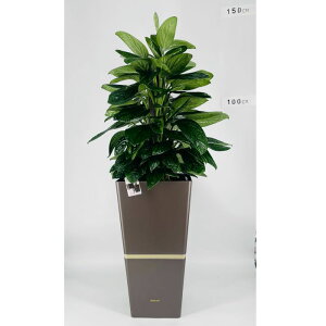 ϗtA XeEhu\jA{gݍ킹 A Zbg ʋ ^ 10@ JXj