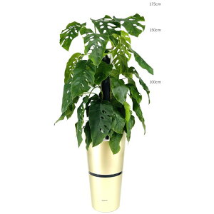 ϗtA XeEfrA {gݍ킹 A Zbg ʋ ^ 10@ JXj