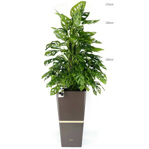 ϗtA XeE}hJY{gݍ킹 A Zbg ʋ ^ 10@ JXj