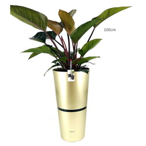 ϗtA tBfhEWRS {gݍ킹 A Zbg ʋ ^ 10@ JXj