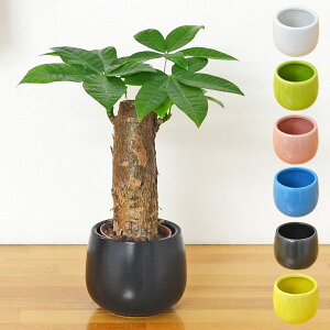 ϗtA ~j pL  JCGibc pd nChJ`[ k͔| 픫t  j  CeA  y