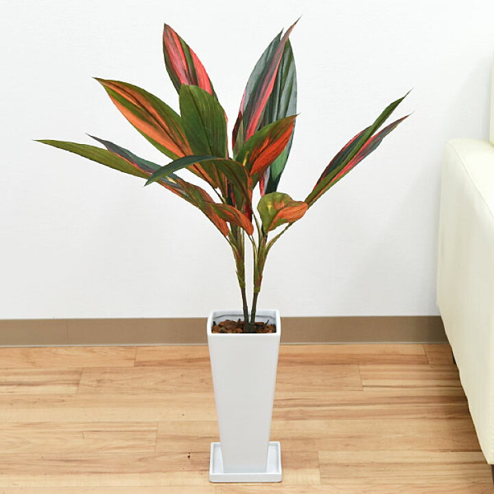 楽天市場 送料無料 人工観葉植物 赤ドラセナ スクエア陶器鉢 光触媒加工 造花 インテリア フェイクグリーン 人気 お祝い ギフト プレゼント 開店祝い 新築祝い 誕生日祝い 結婚祝い おしゃれ スタイリッシュ 小型 フラワーコーポレーション