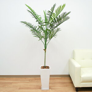 lHϗtA p[Ec[(V) 픫 G}H  CeA tFCNO[ lC j Mtg v[g JXj Vzj aj j  X^CbV 