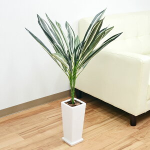 lHϗtA hZi XNGA픫 G}H y  CeA tFCNO[ lC j Mtg v[g JXj Vzj aj j  X^Cb