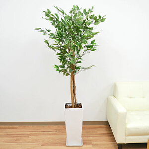 lHϗtA xW~ OXNGA픫  CeA tFCNO[ lC j Mtg v[g JXj Vzj aj j  X^CbV