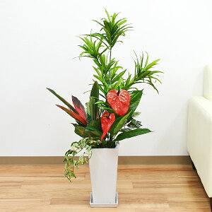 lHϗtA 񂹐A hZi \OIuW}CJ 픫  CeA tFCNO[ lC j Mtg v[g JXj Vzj aj j  X^C