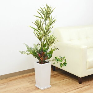 lHϗtA 񂹐A hZi \OIuCfBA 픫  CeA tFCNO[ lC j Mtg v[g JXj Vzj aj j  X^C