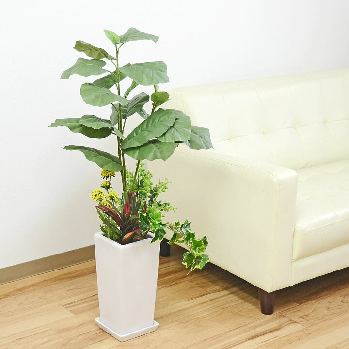 楽天市場 送料無料 人工観葉植物 寄せ植え フィカス ウンベラータ 陶器鉢 造花 インテリア フェイクグリーン 人気 お祝い ギフト プレゼント 開店祝い 新築祝い 誕生日祝い 結婚祝い おしゃれ スタイリッシュ 大型 フラワーコーポレーション