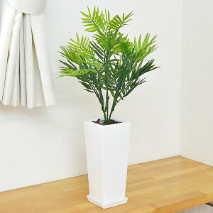 lHϗtA e[uV 픫 G}H y  CeA tFCNO[ lC j Mtg v[g JXj Vzj aj j  X^CbV 