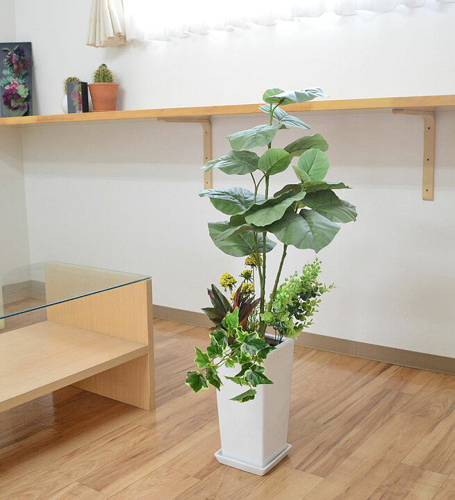 楽天市場】人工観葉植物 寄せ植え フィカス ウンベラータ 陶器鉢 造花 