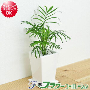 yzϗtA e[uV XNGA픫A 3yCeA//lC/j/Mtg/v[g/JXj/Vzj/aj/j//^z