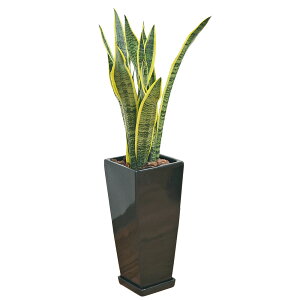 ϗtA TXxA TZxA [eB 7픫A 75cm OXNGA ^  j  y 