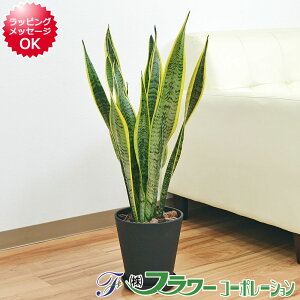 ϗtA TXxA TZxA [eB 6Z[gA ^ y  j 