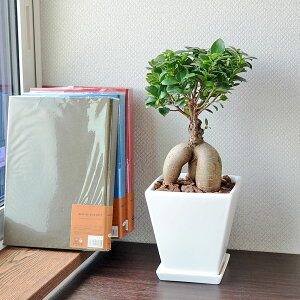 ϗtA KW} K̖  j zCgXNGA픫 y 