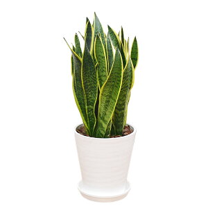 ϗtA TXxA TZxA [eB 8Z[gA ^  y j ubN zCg   mg[ 