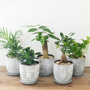 ϗtA KW} pL |gX e[uV p_ `hA 픫 3 zCg O[  т iq {   I CeA 