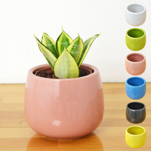 ϗtA ~j TXxA S[fnj[ TZxA nChJ`[ k͔| 픫t  j  I CeA  {  y