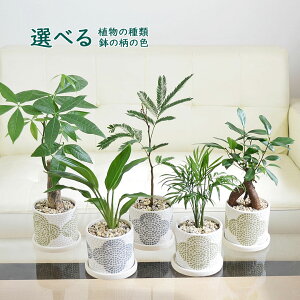 ϗtA KW} pL Go[tbV e[uV Ml eRb^ 픫 ԕ ^CfUC Iׂ AeB[N 3 zCg   j  I { C