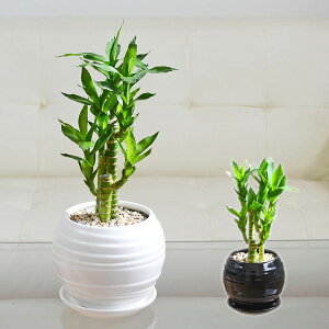 ϗtA LOou[ ~Iou[ ݔN| J^| ~j 픫 {[` zCg  ubN  Iׂ  j  I { CeA  y 