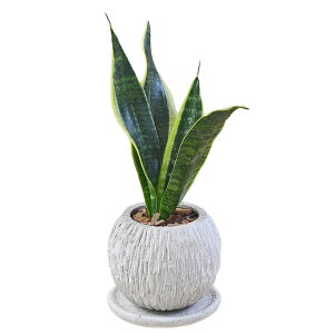 ϗtA TXxA TZxA A Zg {[` ی` RN[g  j CeA {   y