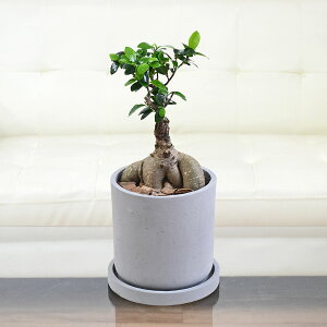 ϗtA KW} K̖ Zg y RN[g ~`  j CeA {   y