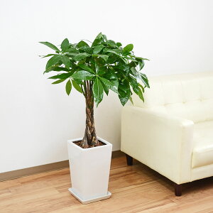 ϗtA pL  픫 XNGA 7 zCg   { ^ CeA  