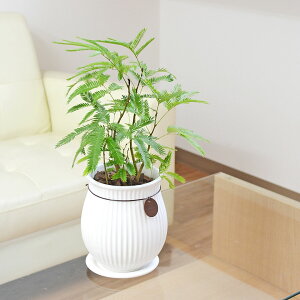 ϗtA Go[tbV AJTlmL 픫 Đ c o[eBJC ^Ot 4 zCg    I CeA  y 