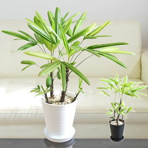 ϗtA ω| Jm`N W  YCREjVL  ZA[g zCg  ubN  Iׂ 5  { CeA   y