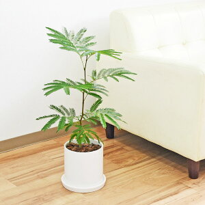 ϗtA Go[tbV AJTlmL 픫 ~` V_[ c zCg  5  { CeA   y