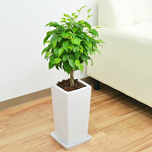 ϗtA xW~(tBJXExW~i) XNGA픫A 5yCeA/lC/j/Mtg/v[g/JXj/Vzj/aj/j/zj//X^