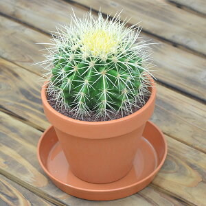 T{e  LV` fĂ픫 CeA lC j Mtg v[g JXj Vzj aj j  X^CbV ^ {  y 