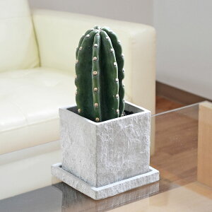 T{e JN^X { Zg }bg  j CeA {  A ϗtA  y