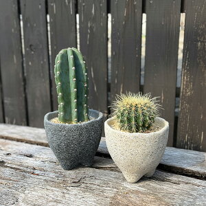 T{e JN^X T{e Sʊt  LV` 픫 O }bg AeB[N  j CeA  Iׂ {  A ϗtA  y