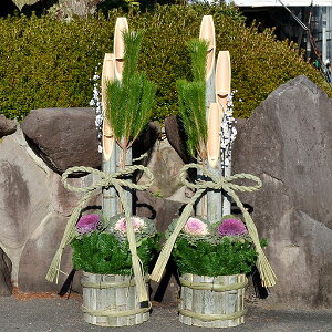 叼(ƁEXܗlp) 1.7m |^Cv  ^ ̔  u 170cm  | ~  t{^ ߓ  ʔ  ItBX  X 1 {i 