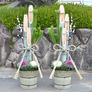 叼(ƁEXܗlp) 1.7m R  ^ ̔  u 170cm  | ~  t{^ ߓ  ʔ  ItBX  X 1 {i 