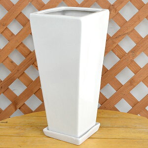 OXNGA픫S zCg 7TCY y