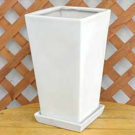 スクエア陶器鉢L ホワイト 7号サイズ