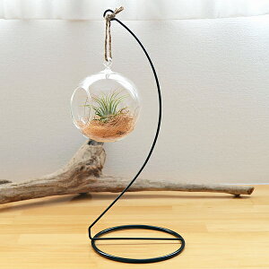 観葉植物 ハンギング スタンドの通販 価格比較 価格 Com