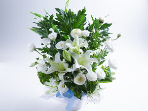  ~ @ ފ  ԃMtg ԁ@䋟ԁ@  ݁@AWg@@ԑ@@AWԁ@ԁ@@@@@ԁEԑł܂B