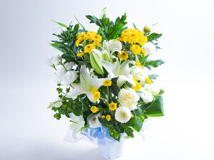 ijAWg(S)@EFnMtg ԁ@䋟ԁ@  ݁@AWg@@ԑ@@AWԁ@ԁ@@@@@