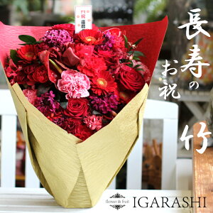 y   j t[AWg | z  Mtg v[g AWg t[ Mtg t[ j AW ԉ