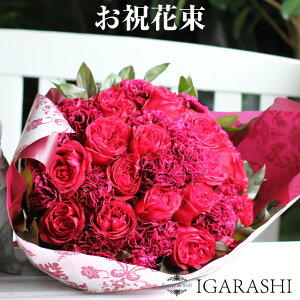 ԑ u[P  Mtg a NX}X H ސE v[g LO o Mtg t[  ސEj  bh ԉ